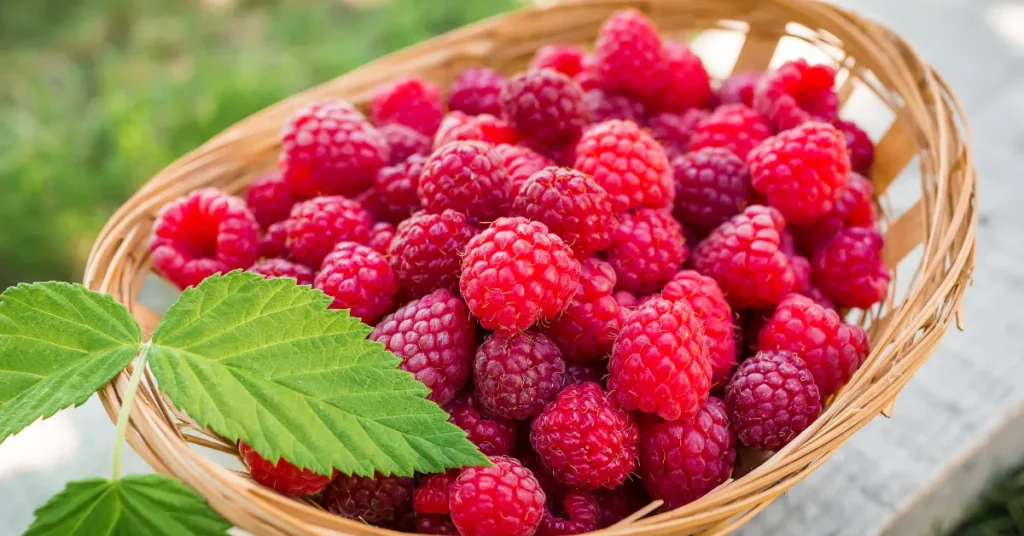 Raspberries