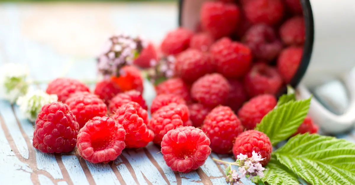 Raspberries