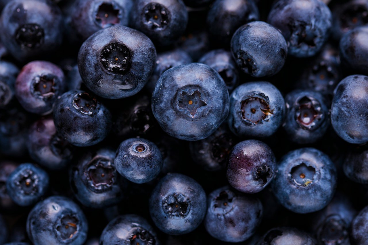 Fresh blueberries and mixed fruit ready for storage