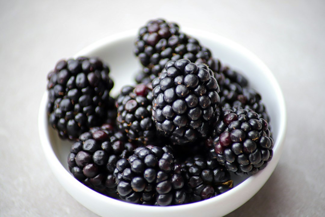 Fresh ripe blackberries gathered in a bowl